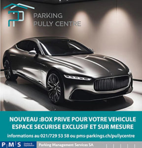 Box voiture prestige